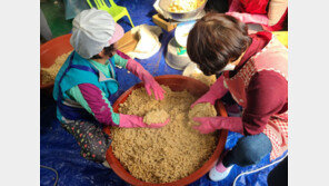 “이렇게 두들겨 주면 메주 완성… 참 쉽죠?” 