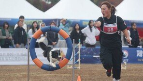 “장애물 통과!” 관리사-탐지견 호흡 척척 