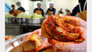 ‘김장물가 잡아라’ 배추·소금 등 1.1만t 풀고 245억 할인 지원