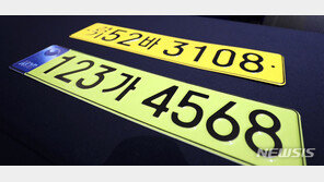 회장님 슈퍼카 제재…8000만원 이상 ‘연두색 번호판’