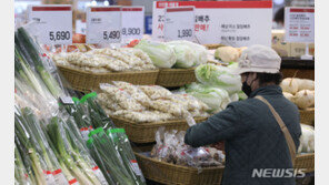 10월 8% 폭등한 농산물 가격…농식품부 “점차 상승세 둔화”