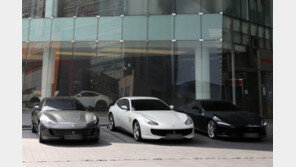 8000만원 넘는 법인차, 내년 1월부터 ‘연두색’ 번호판 단다