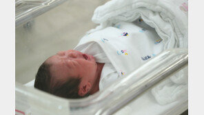 ‘메가서울’ 땐 출산율 더 하락?…수도권 집중에 출생아 ‘연 1만명’ 손실