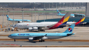 아시아나항공 이사회 화물 분리 매각 의결