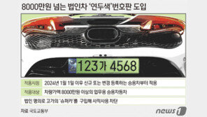 내년 1월부터 법인 ‘슈퍼카’에 연두색 번호판 부착… 사적이용 막는다