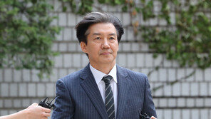 “I am 공정 I am 법치” 조국도 ‘전청조 밈’ 따라했다