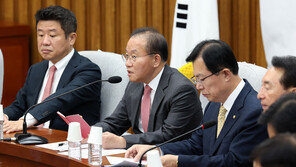 與, 이재명 ‘확장재정’ 제안에 “사이비 경제학” 비판