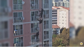 아파트 12층서 화분 던지고 난동 부린 30대, 경찰특공대가 제압 