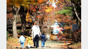 앉아만 있으면 빨리 죽는다…“22분씩 산책땐 사망 감소”