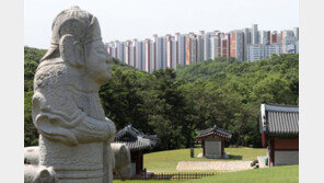 ‘왕릉뷰 아파트’ 건설사들 2심도 이겼다…“문화재청 항소 기각”