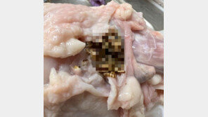 ‘닭에 벌레 있지만 무해’ 주장한 하림…식약처 “현장조사”