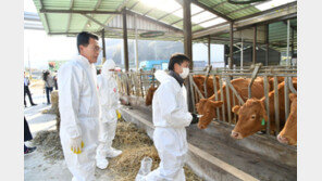 럼피스킨병 강화서 추가 발생해 총 77건…백신접종률 76.3%