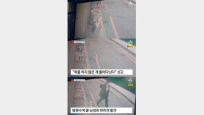 대형견 목줄 단속한 경찰 따귀 때린 남성…주민들은 “무섭다” 덜덜