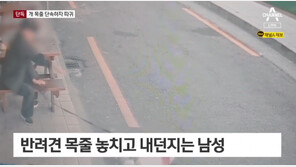 개 목줄 단속하자 경찰 따귀 때린 남성…주민들은 “무섭다”