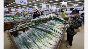 사과 72%, 상추 40% ‘쑥’ 심상찮은 채소·과일 물가…4분의 3이 상승