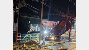 강풍에 가로등-나무 쓰러져…경기 곳곳서 비 피해 잇따라