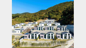 DL이앤씨, 국내 최초 ‘모듈러 단독주택’ 타운형 단지 준공