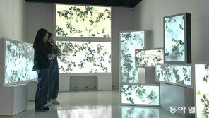 “예술로 표현한 지구 이야기 구경해보세요” 