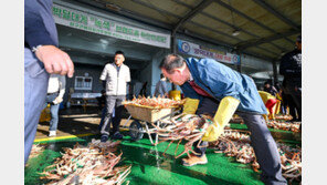 살이 통통… 대게가 돌아왔다 
