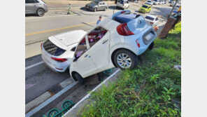 ‘태풍급 강풍’에 전국 곳곳 피해 속출…서울 등 올 가을 첫 한파특보