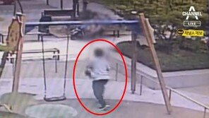 그네 타던 아이 솟구치게 밀어 3m 내동댕이…부부싸움 홧김에(영상)