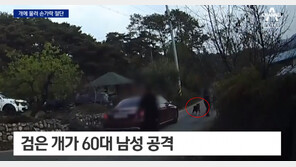 손가락 잘렸는데…견주 “우리 개는 안 문다. 먼저 도발했냐” 