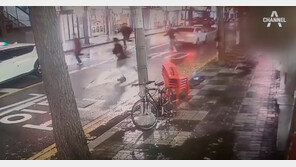 차도-인도 넘나들며 필사의 도주…김길수 검거 영상