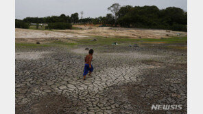 전례 없는 아마존 가뭄…기후 위기 ‘티핑 포인트’ 도달한걸까