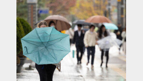 비바람 불던 날… 경찰, 길잃은 자폐아동·치매노인 신속 구조