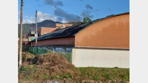 강풍에 횡성 초등학교 수영장 지붕 마감재 날아가…인명피해 없어