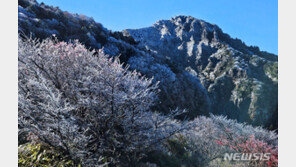 겨울 시작 ‘입동’ 전주서 첫서리 관측…작년보다 20일 늦어