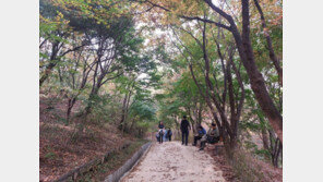 ‘북서울꿈의숲’에 순환형 둘레길…오동공원 하나로 연결