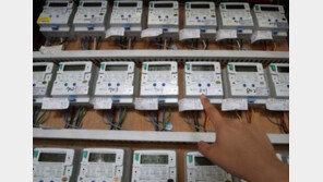 가정용·소상공인 전기요금 동결…대-중견기업만 인상