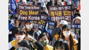 홍익표 “개 식용 종식 특별법 당론채택…11월 내 입법완료 기대”