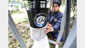 입동인데 웬 모기?…12월 기온 평년보다 높아 ‘겨울모기’도 비상