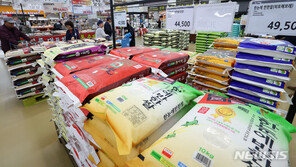 국제 쌀 가격, 인도 금수조치에 불안정…12년만에 최고