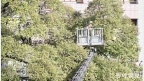 “손님∼ 어떻게 잘라드릴까요?” 