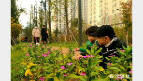‘수인선 바람숲길’에 꽃 향기가 물씬∼ 