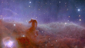 유클리드 망원경 첫 사진… 1375광년 밖 ‘말머리 성운’