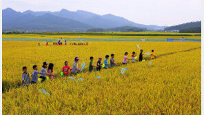 ‘국민 삶터’ 농촌 지키는 공익직불제… 2027년까지 예산 5조 원으로 늘린다 