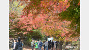 단풍구경 다녀온뒤 열 난다면…“유행성 출혈열 의심을”