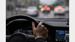 “감봉 억울해” 아픈 친구 대신 5m 무면허운전 공무원…징계 적법