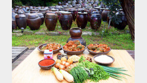 김장비용 부담 낮아지나… 전년 11월 상순 대비 9.4% ↓