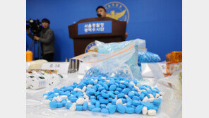 서울 한복판 ‘가짜 비아그라’ 공장이…920억원·613만정 제조·유통