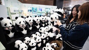 “푸바오 굿즈 사세요” 