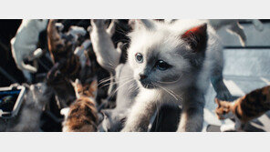 부진해도 1위는 1위…‘더 마블스’ 주말 흥행 가볼까