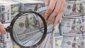 정부, 외국환 중개업 도입…“외국환 거래 시 유리한 조건 파악”