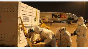 美반환 판다가족 3마리 청두 도착…내달 일반에 공개 예정