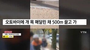 오토바이에 매달려 500m 끌려간 개…70대 남성 “데려가 키우려 했다” 해명