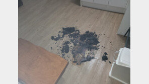 서귀포 상가 건물 방화 용의자 추적…“불 붙인 물체 던져”